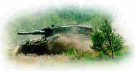 Panzer im Gr�nen