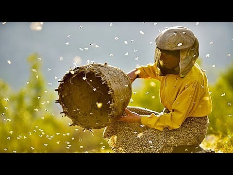 LAND DES HONIGS | Trailer deutsch german [HD]