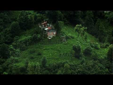 MÜLL IM GARTEN EDEN - Trailer