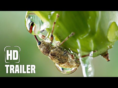 DIE EICHE - MEIN ZUHAUSE Trailer German Deutsch (2023)