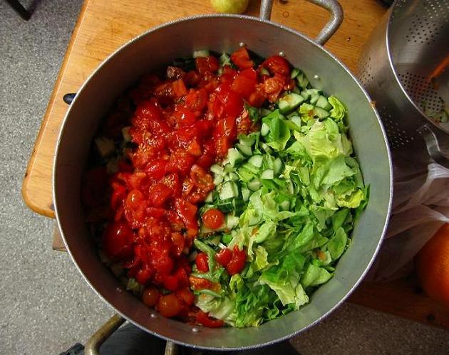 pott mit tomaten und salat